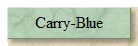 Carry-Blue