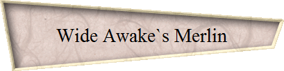 Wide Awake`s Merlin